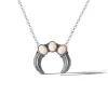 Stone Horn Necklace