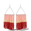 Multi Seed Beads Fringe Dangle Earring